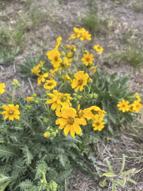 Image 52 of property listing at 3420 NE County Rd 2596, Sonora, TX 76950