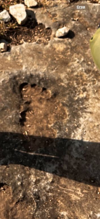 Image 55 of property listing at 3420 NE County Rd 2596, Sonora, TX 76950