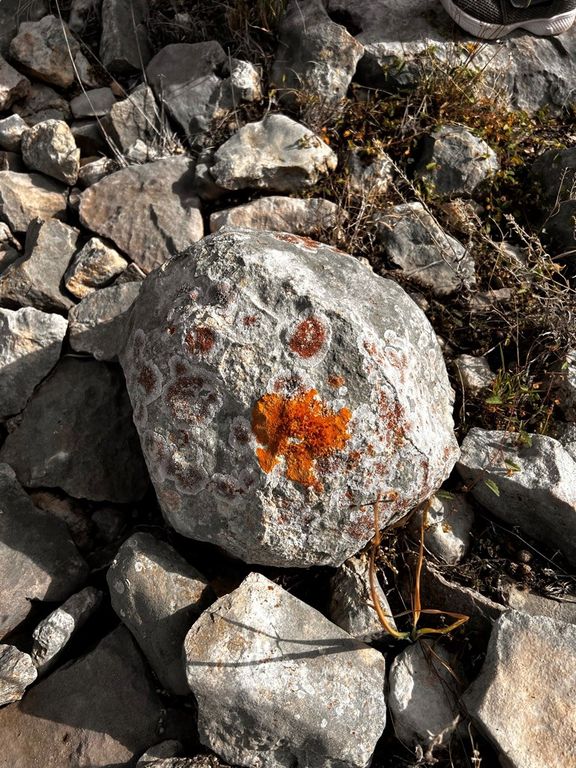 Image 56 of property listing at 3420 NE County Rd 2596, Sonora, TX 76950