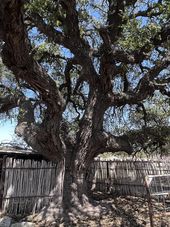 Image 87 of property listing at 3420 NE County Rd 2596, Sonora, TX 76950