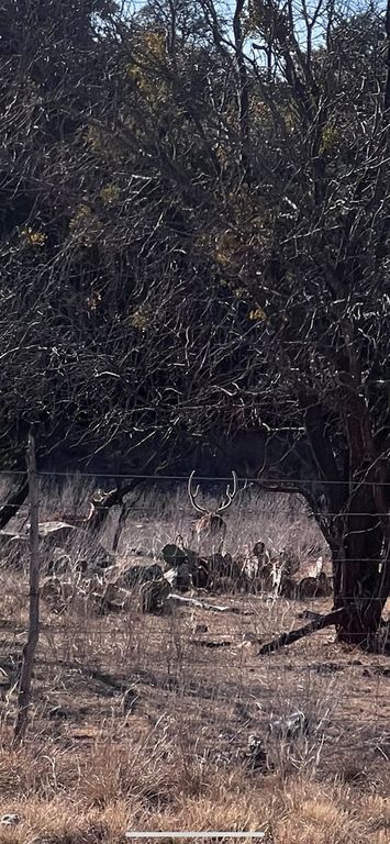 Image 9 of property listing at 3420 NE County Rd 2596, Sonora, TX 76950