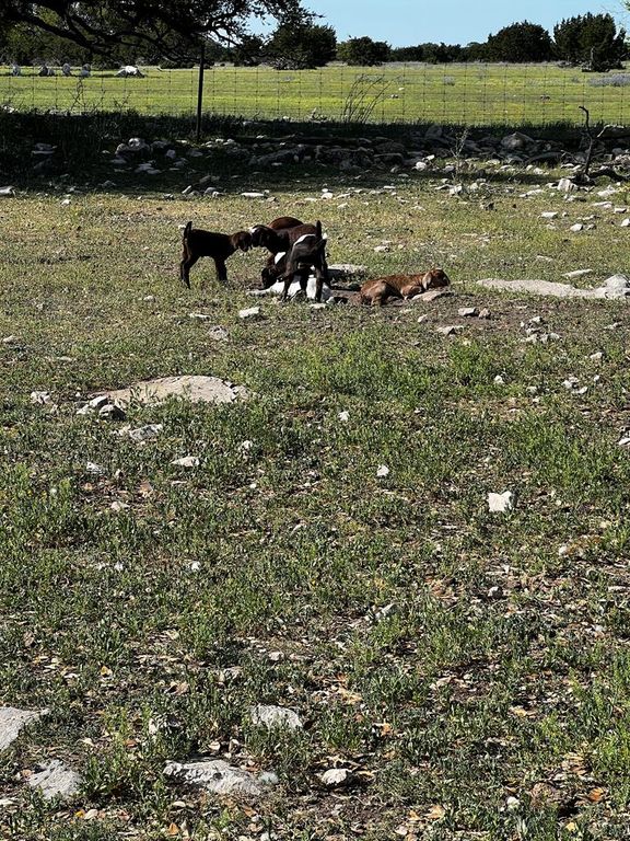 Image 95 of property listing at 3420 NE County Rd 2596, Sonora, TX 76950