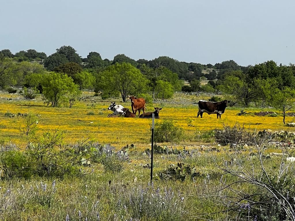 Image 96 of property listing at 3420 NE County Rd 2596, Sonora, TX 76950