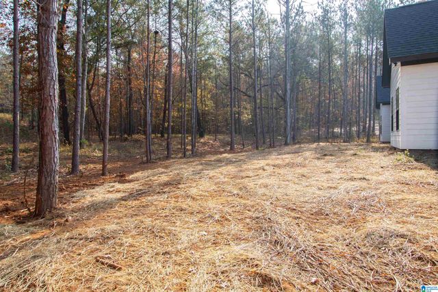 119 ESTATES CLUB DRIVE, Pell City, AL 35128