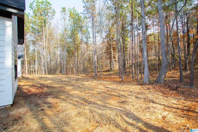 119 ESTATES CLUB DRIVE, Pell City, AL 35128