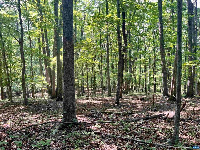 7337 DICK WOODS RD, Afton, VA 22920