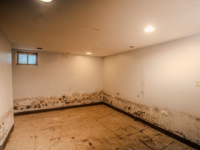 250 E 143rd Street, Dolton, IL 60419