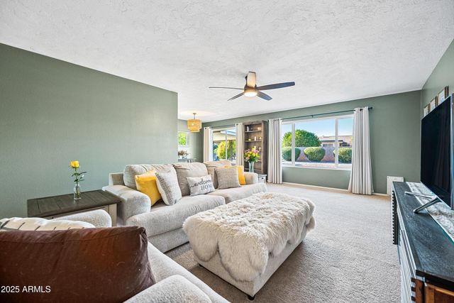 16869 N Meadow Park Drive, Sun City, AZ 85351