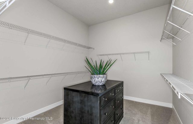 17120 Sycamore Heights Drive, Spring Hill(pasco), FL 34610
