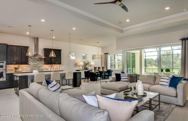 17120 Sycamore Heights Drive, Spring Hill(pasco), FL 34610