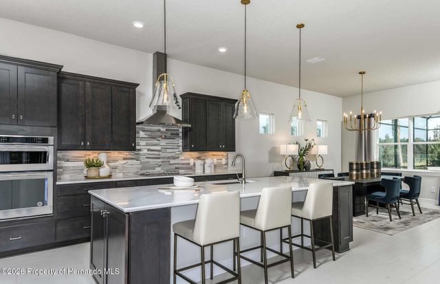 17120 Sycamore Heights Drive, Spring Hill(pasco), FL 34610