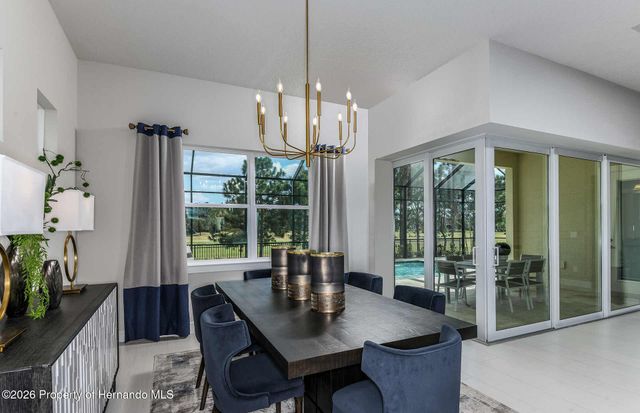 17120 Sycamore Heights Drive, Spring Hill(pasco), FL 34610