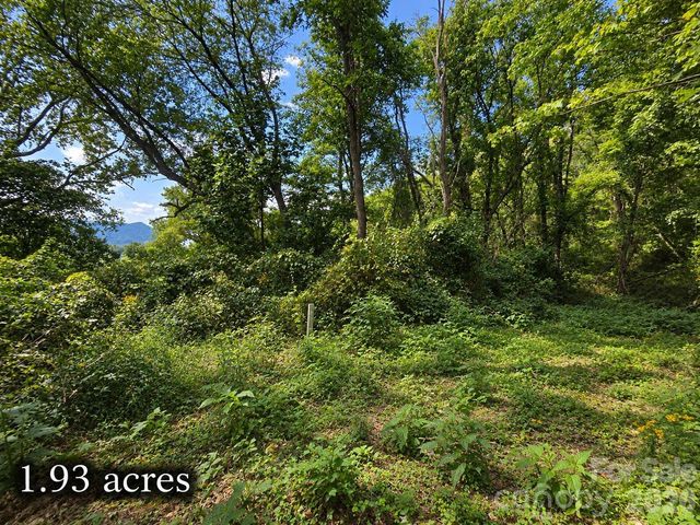 81 Dove Crest Lane 18 & 33, Waynesville, NC 28786