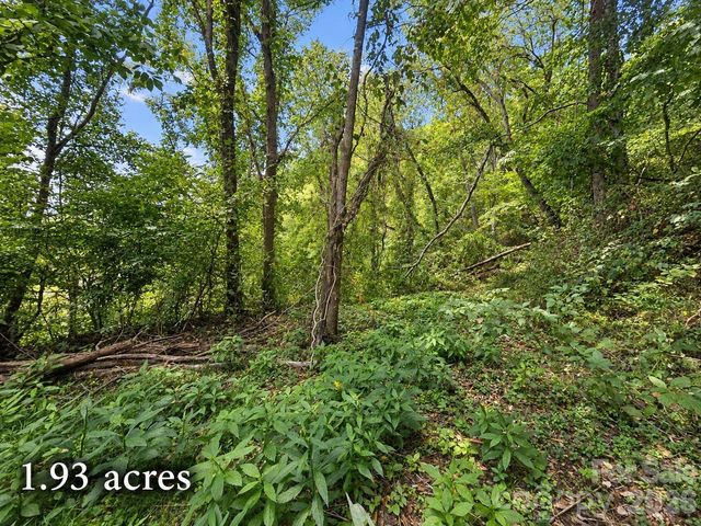 81 Dove Crest Lane 18 & 33, Waynesville, NC 28786