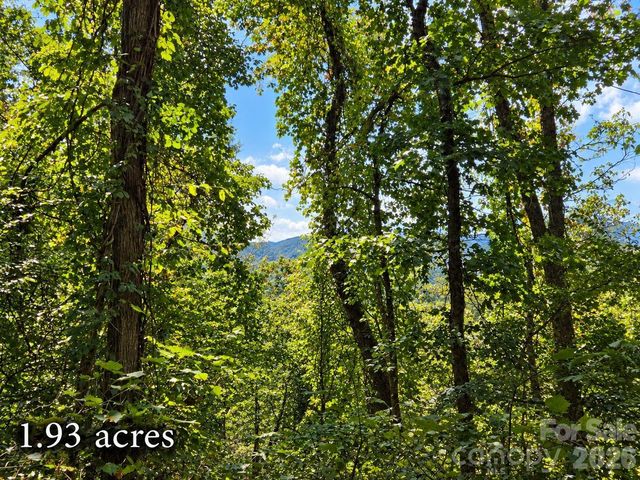 81 Dove Crest Lane 18 & 33, Waynesville, NC 28786