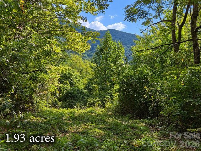 81 Dove Crest Lane 18 & 33, Waynesville, NC 28786