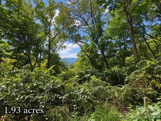 81 Dove Crest Lane 18 & 33, Waynesville, NC 28786