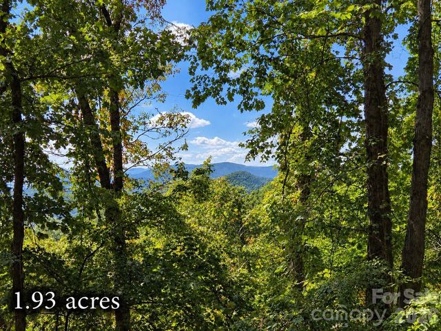 81 Dove Crest Lane 18 & 33, Waynesville, NC 28786