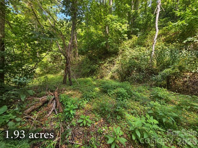 81 Dove Crest Lane 18 & 33, Waynesville, NC 28786