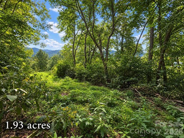81 Dove Crest Lane 18 & 33, Waynesville, NC 28786