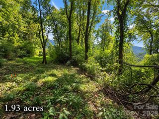 81 Dove Crest Lane 18 & 33, Waynesville, NC 28786