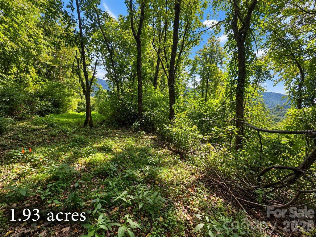 81 Dove Crest Lane 18 & 33, Waynesville, NC 28786