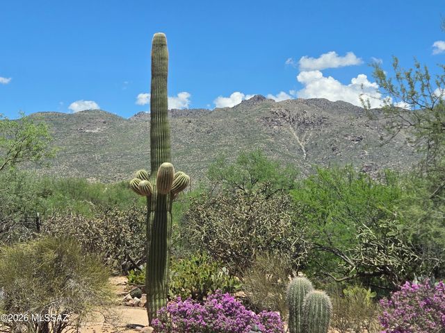 11743 E Limberlost Road, Tucson, AZ 85749