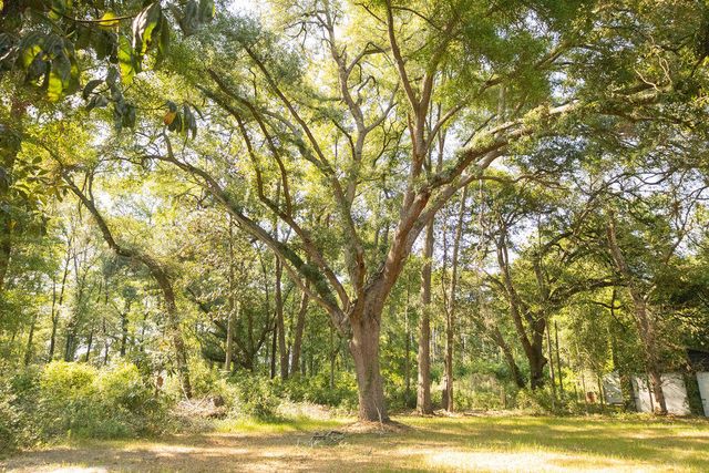 141 Mount Carmel Road, Walterboro, SC 29488