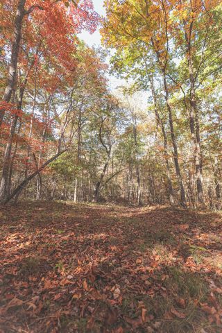 1047 Nelson Harrison, Evensville, TN 37332