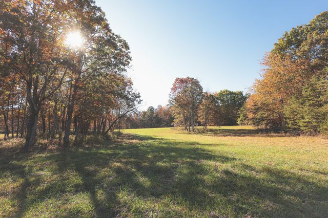 1047 Nelson Harrison, Evensville, TN 37332