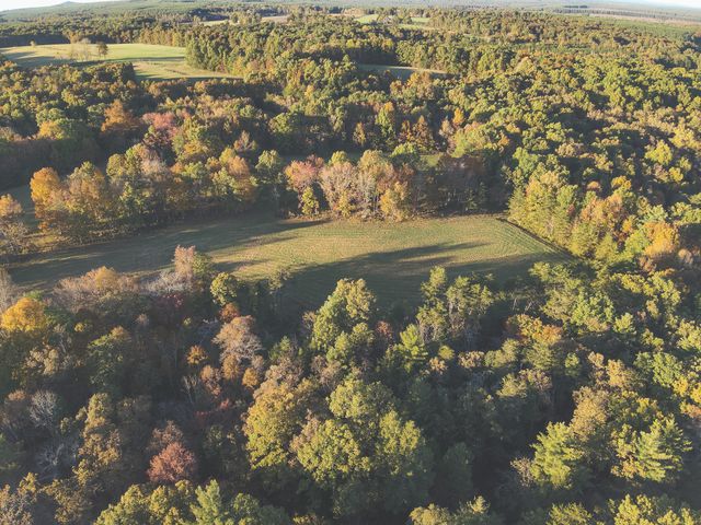 1047 Nelson Harrison, Evensville, TN 37332