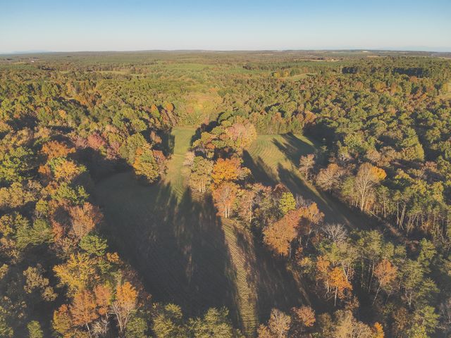 1047 Nelson Harrison, Evensville, TN 37332