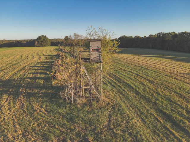 1047 Nelson Harrison, Evensville, TN 37332
