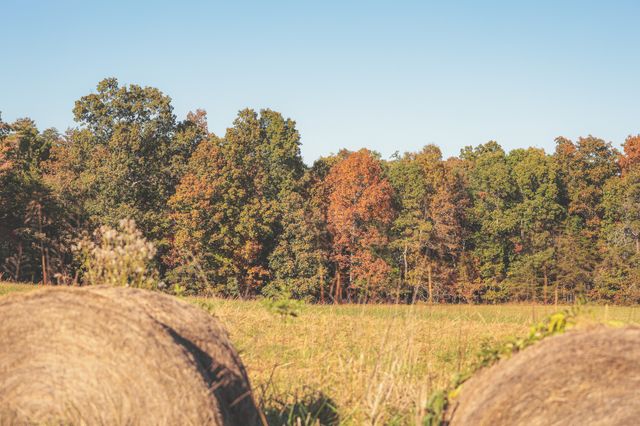 1047 Nelson Harrison, Evensville, TN 37332