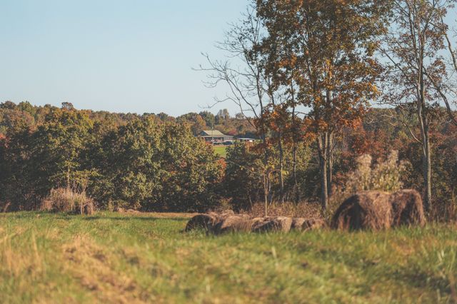 1047 Nelson Harrison, Evensville, TN 37332