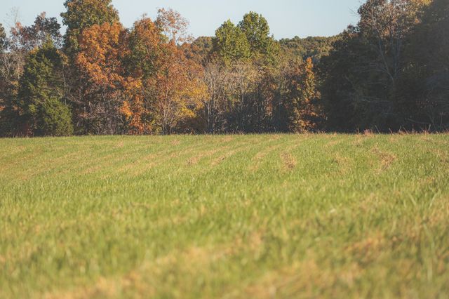1047 Nelson Harrison, Evensville, TN 37332