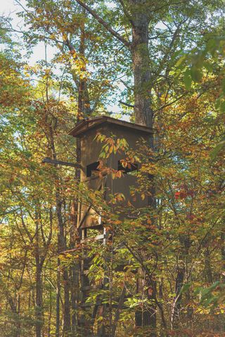 1047 Nelson Harrison, Evensville, TN 37332