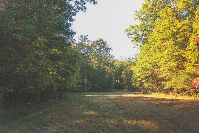 1047 Nelson Harrison, Evensville, TN 37332