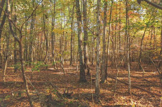 1047 Nelson Harrison, Evensville, TN 37332