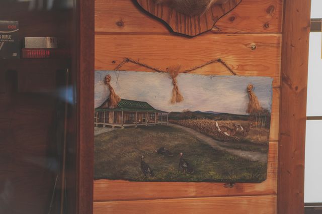 1047 Nelson Harrison, Evensville, TN 37332