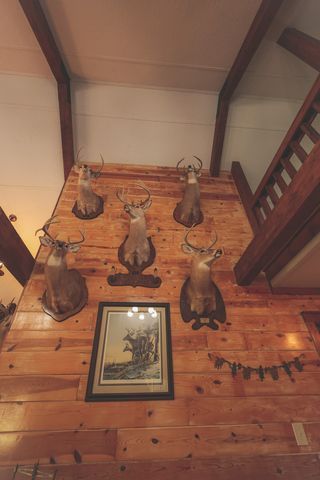 1047 Nelson Harrison, Evensville, TN 37332