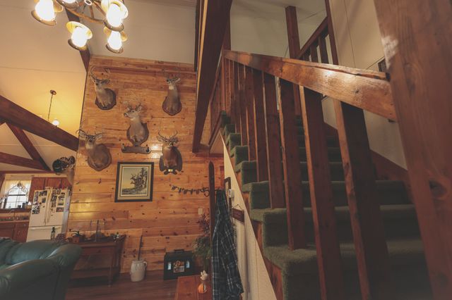 1047 Nelson Harrison, Evensville, TN 37332