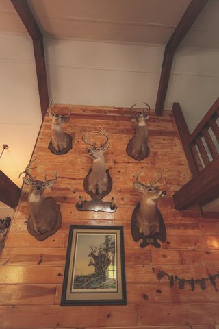 1047 Nelson Harrison, Evensville, TN 37332