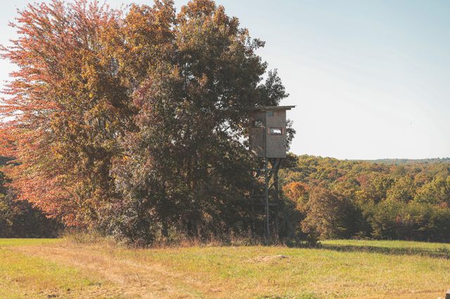 1047 Nelson Harrison, Evensville, TN 37332