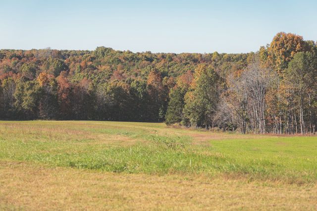 1047 Nelson Harrison, Evensville, TN 37332