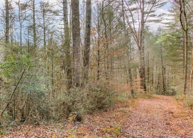 Lot 2 Laurel Overlook Road, Ellijay, GA 30540
