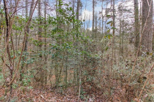 Lot 2 Laurel Overlook Road, Ellijay, GA 30540