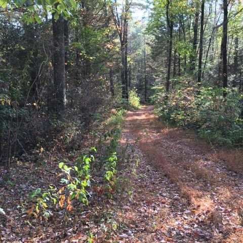 Lot 2 Laurel Overlook Road, Ellijay, GA 30540