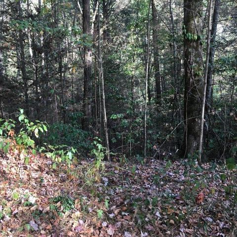 Lot 2 Laurel Overlook Road, Ellijay, GA 30540