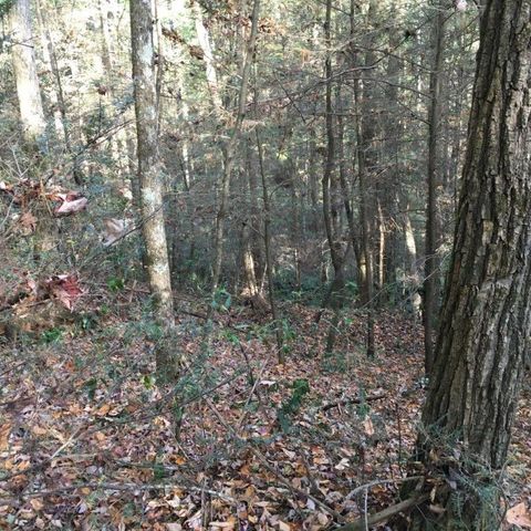 Lot 2 Laurel Overlook Road, Ellijay, GA 30540
